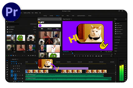 Adobe Premiere Pro Plugin